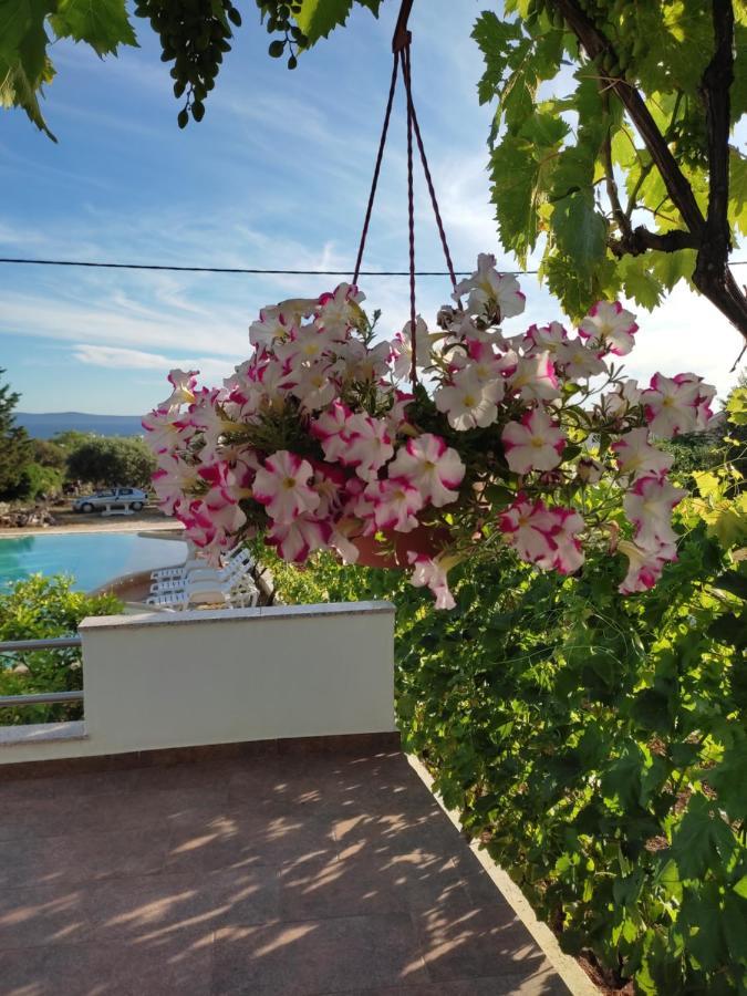 Apartments Goran Вир Екстериор снимка